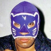 Blue Panther