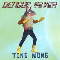 Dengue Fever