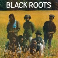 Black Roots