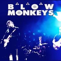 The Blow Monkeys