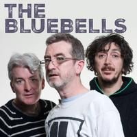 The Bluebells