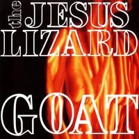 The Jesus Lizard