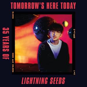 The Lightning Seeds