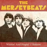 The Merseybeats