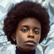 Toyin Odutola